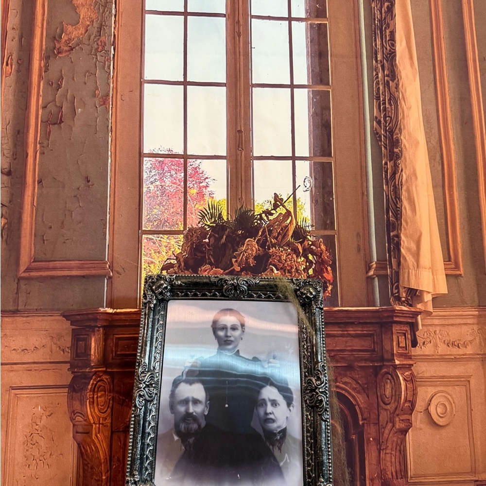 Faux Vintage Ornate Silver Photo Frame Lenticular Changing Spooky Halloween Gag - Picture 3 of 10